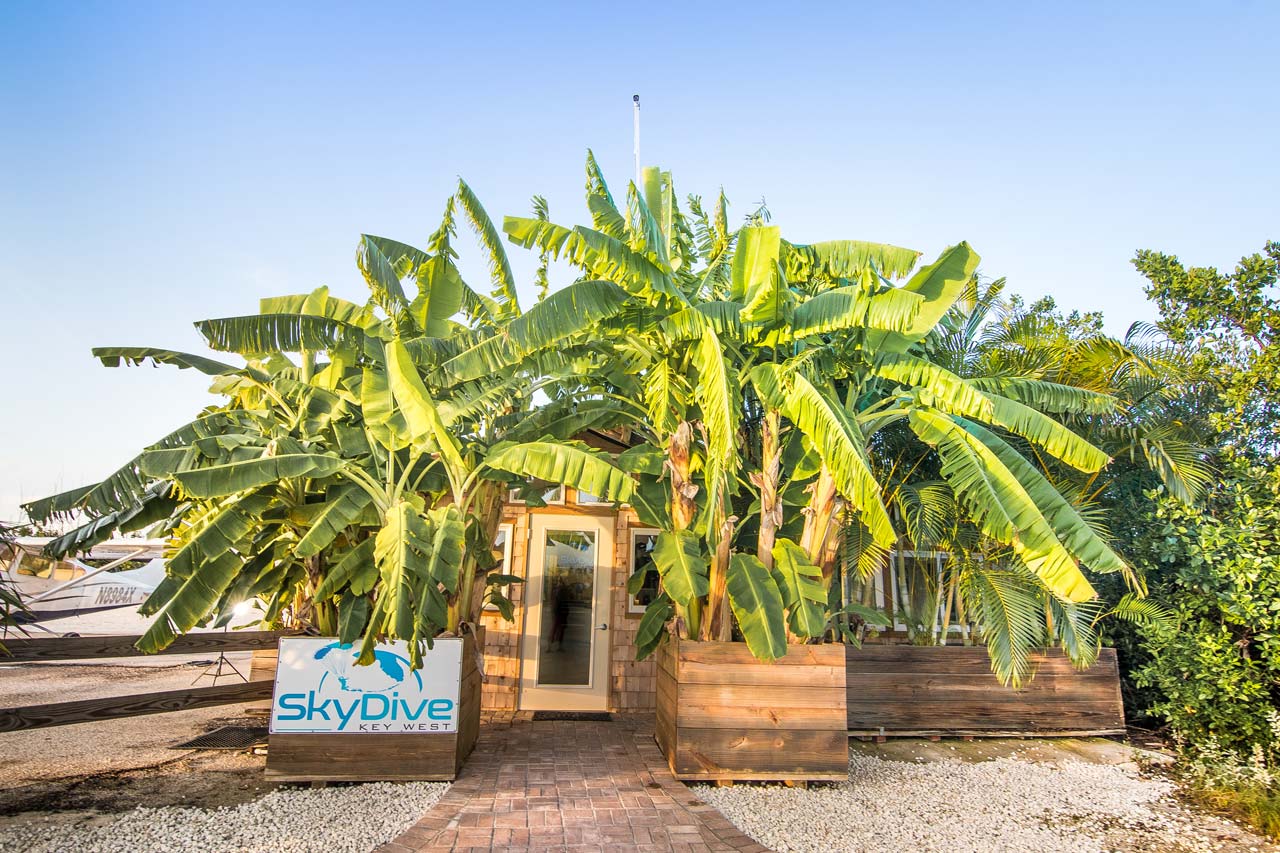 The entry way of Skydive Key West with beautiful palm trees and a soft wooden building structure