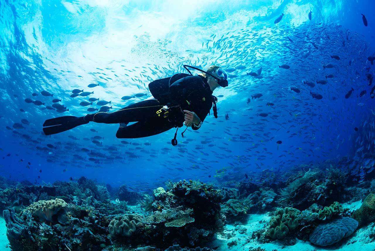 Girl scuba diving in crisp, blue waters with fish in the background.