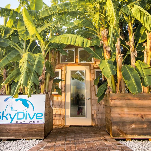 The outside of Skydive Key West with beautiful palm trees and a soft wooden building structure